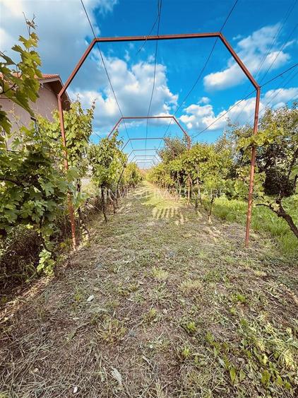 VILA CU 14 CAMERE SI 3405 MP TEREN IN SANMARTIN - 7