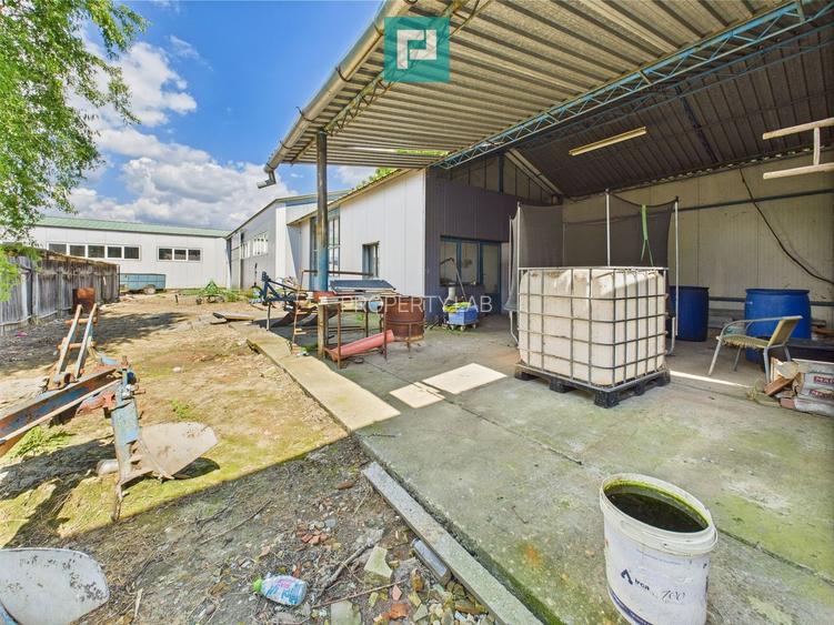 Clădire cu 5 camere cu teren și hală în Cenad - 14