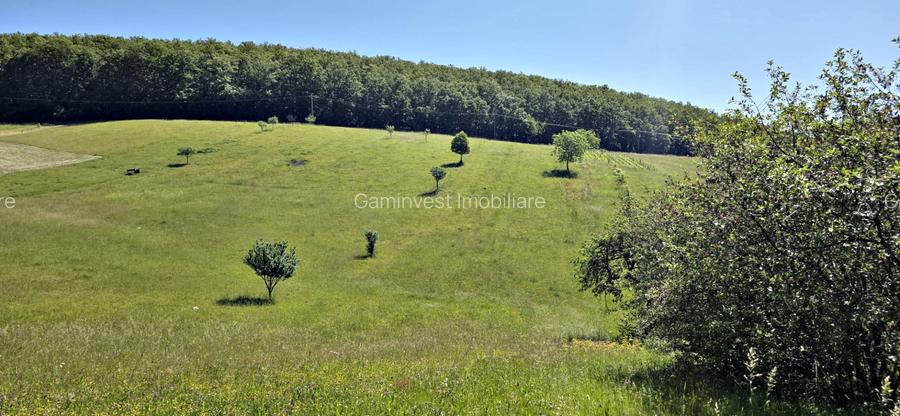 Casa de vanzare si teren de 24000 mp in Fasca, langa padure, 45 km de Oradea - 2