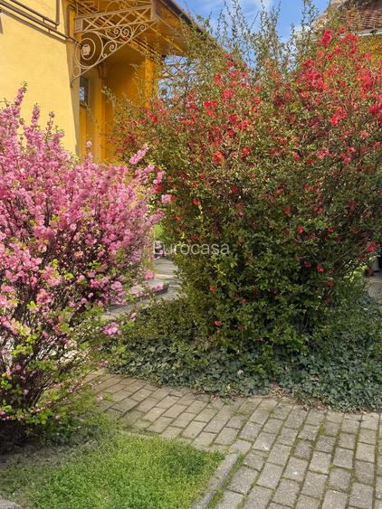 Doua camere plus spatii comune in cladire istorica - 10