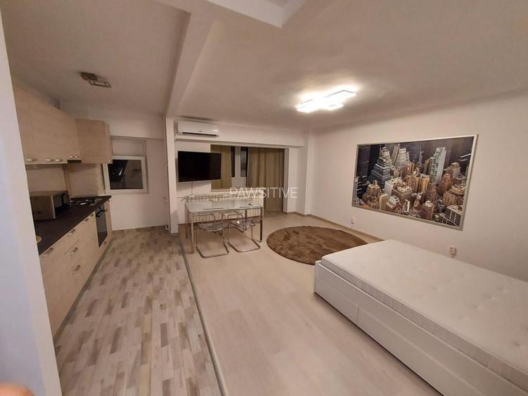 Timpuri Noi-Metrou,Garsoniera Totul Nou - 5