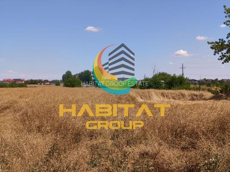 Teren 441 mp cu utilitati si plata in rate - Vidra - 3