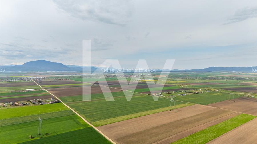 Teren intravilan de vanzare - Halchiu - 14
