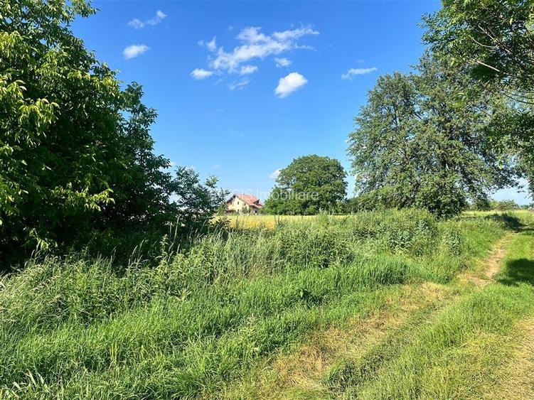 TEREN INTRAVILAN, 1200 mp, HARMAN, COMISION 0% - 3