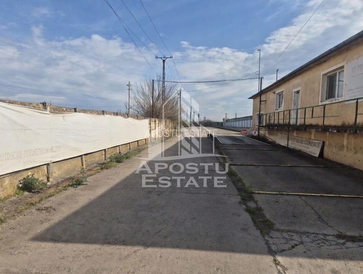 PLATFORMĂ INDUSTRIALĂ 3HA SILOZURI 50M ACCES CFR SÂNNICOLAU MARE - 2