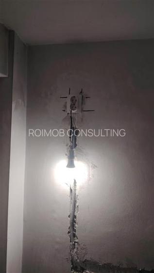 Apartament 2 camere decomandat, situat intre parcul Tei si Circului - 8