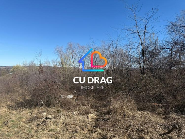 Teren intrevilan Sibiel cu toate utilitatile - 4