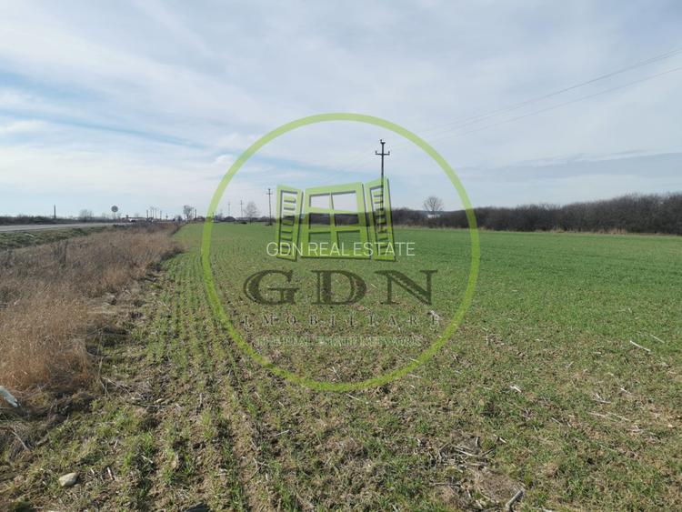 Teren extravilan de vanzare in Sacadat, 21.496 mp, cu deschidere de 42 m la E60. - 2