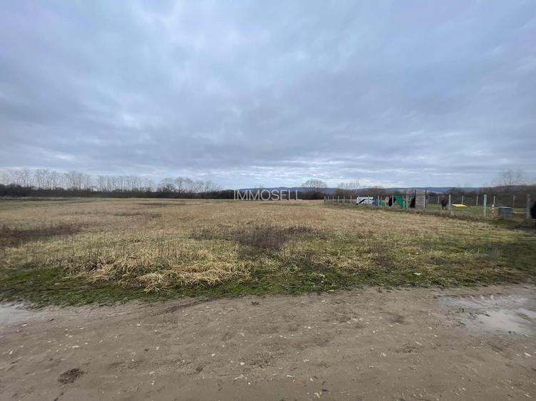 5700 mp Teren intrav. zona Mini Paradis, deschidere 44 ml- 28 eur/mp - 3