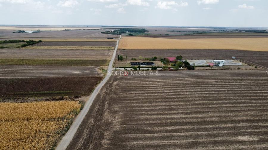 Frumusani - Hobby Arena - teren intravilan cu PUZ aprobat - 2