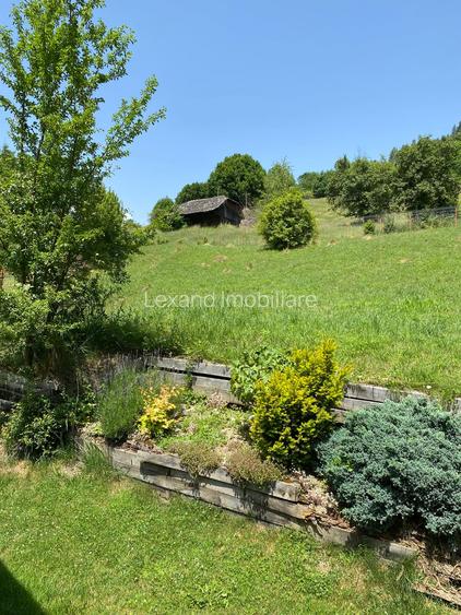 Casa  P+M, cu teren de 9721 mp - 10