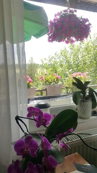 Apartament cu 3 camere de vanzare, etaj 2, - Micalaca - 4