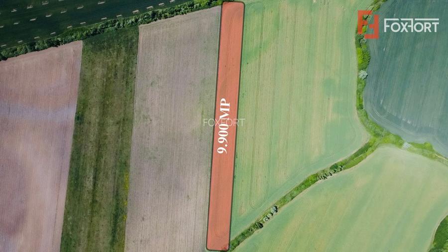 COMISION 0% Oportunitate de investitie in Sacalaz: Teren Extravilan de 9.900MP - 3