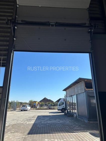 Hala de vanzare Corbeanca - 6