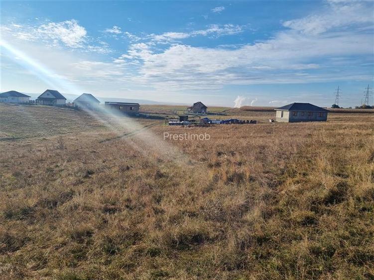 De vanzare teren intravilan 13 arii , sancraiul de mures, - 6