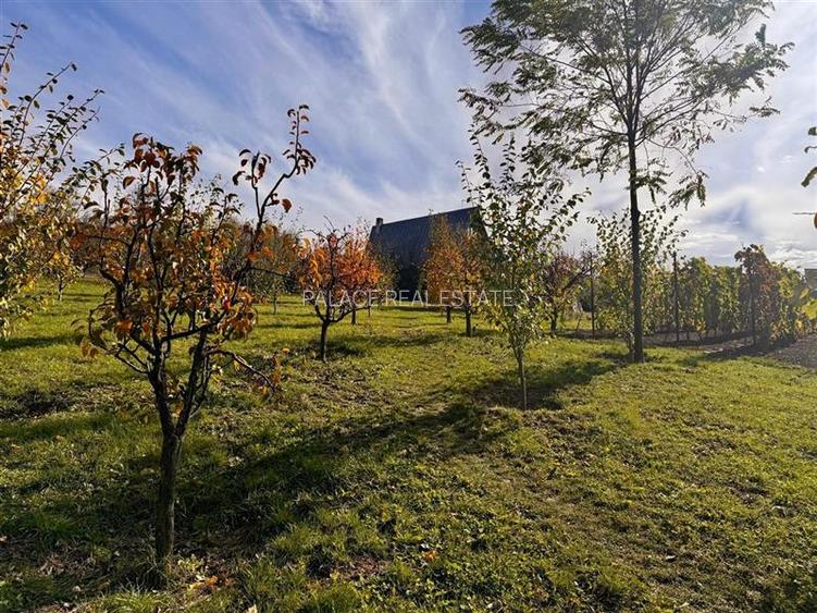 Proprietatea deosebita cu 4000mp teren, Barnova - 4