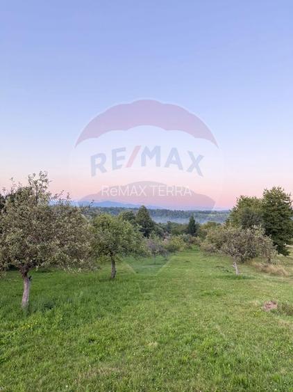 Teren în cea mai turistica localitate din Romania - Breb / Maramureș - 3