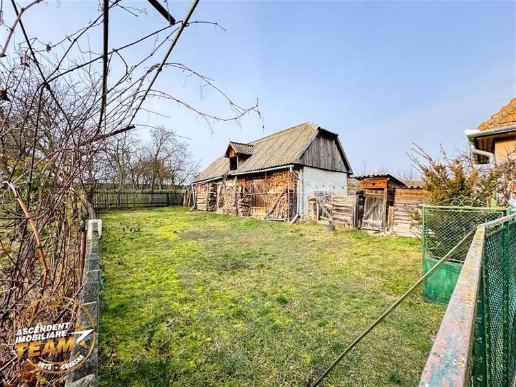 FILM! 5.000mp teren intravilan cu casuta rustica, Dalnic, Covasna - 39