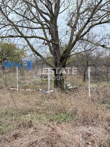 Teren Bucovat, oportunitate de investitie - 3