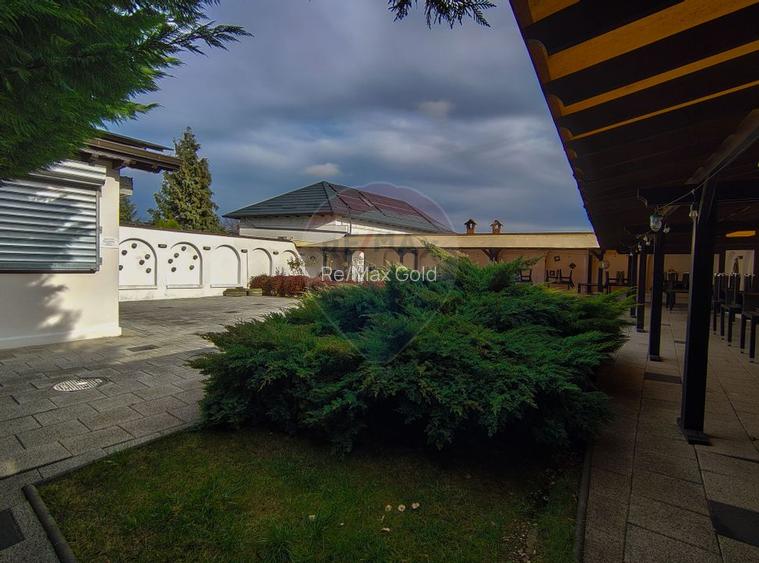 Două vile de patrimoniu, restaurate integral - 34