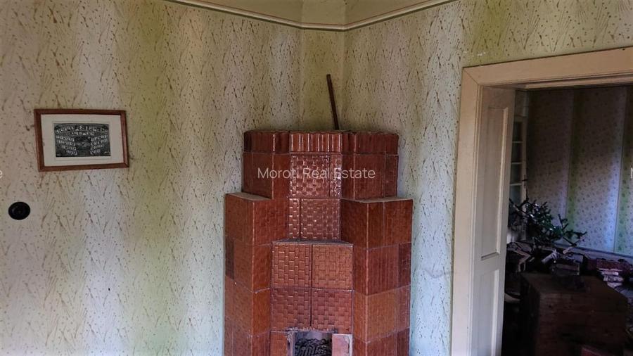 Domeniu de 7 ha in Apuseni - Criscior, Hunedoara - 10