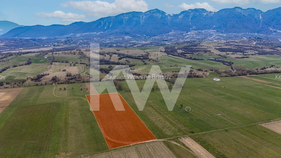 Teren intravilan – Zarnești, Zona Penny | 25 Euro/ mp - 8