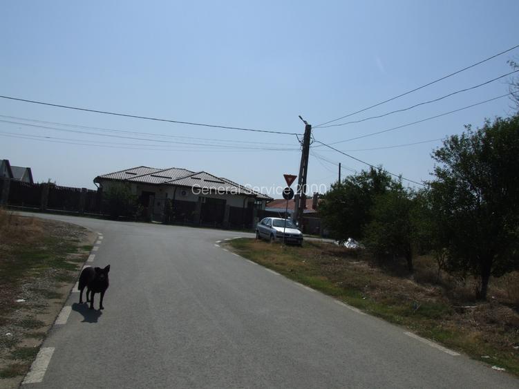 Domnesti-Salciei-stradal 6784 mp - 3