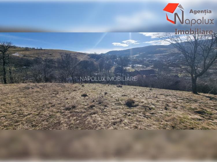 Teren de exceptie 3,1 ha intravilan | Panorama, utilitati, acces dublu | Sard - 9
