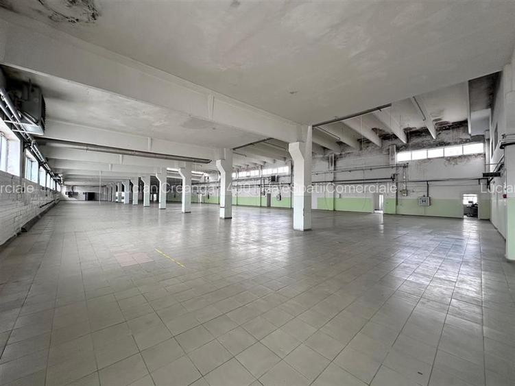 Hala/ spatiu comercial Pascani, 1500mp - 5