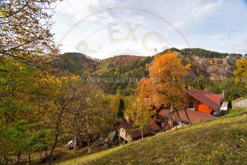 VANZARE / SCHIMB  PENSIUNE in zona de munte, langa Pestera Muierilor - 4