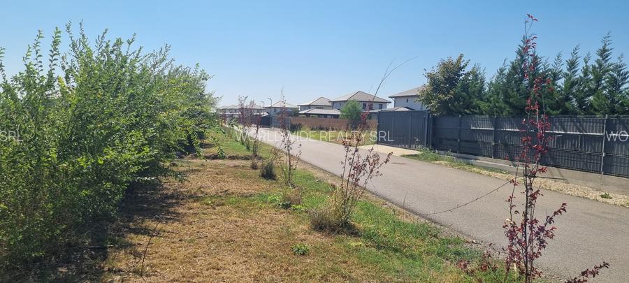 Teren intravilan Balotesti, Complex Good Afternoong - 5