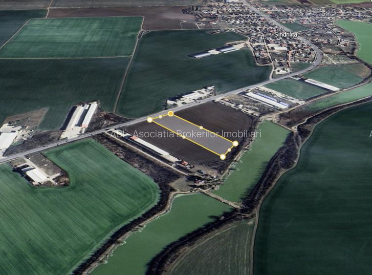 De vanzare | Teren 7500 mp | Deschidere 29 mp | Afumati | Sindrilita - 2
