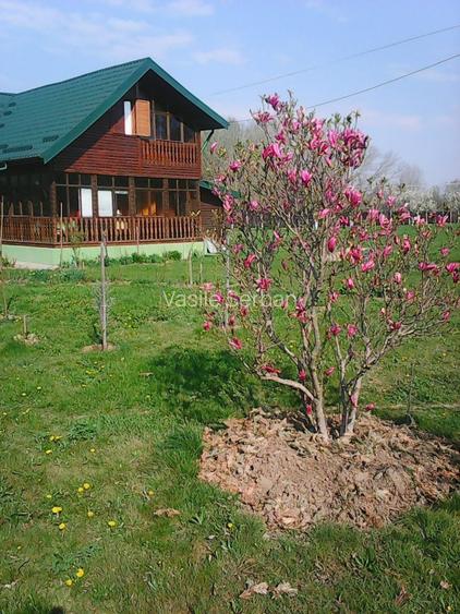 Casa + teren vanzare com. Barla jud. Arges - 7