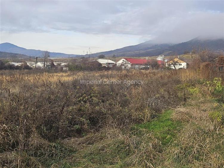 TEREN INTRAVILAN 10.700 mp  DE VANZARE  IN TG.OCNA - 2