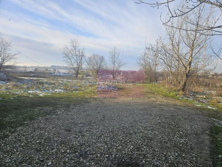 Teren Clinceni cu drum de servitute - zona Primarie. - 4