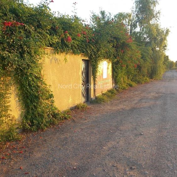 Apartament 4 camere - Padurea Baneasa - comision 0% - 7