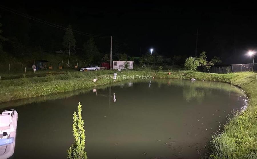 Iaz de vanzare in Apuseni- cazare, agrement si pescuit la DN74 - 11