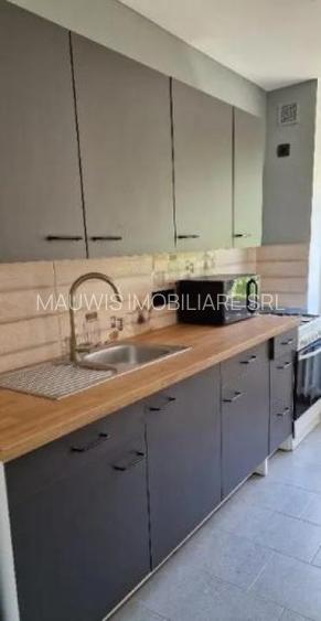 Iancului / Sachelarie Visarion/ et 4 / decomandat / renovat/ - 4