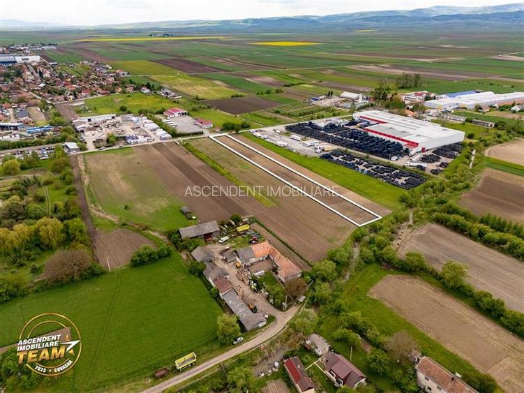 FILM! 5.000 mp teren, la marginea orasului Targu Secuiesc, aria industriala - 5