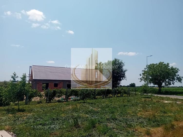 Vand/Schimb Livada Belint 16000mp - 19