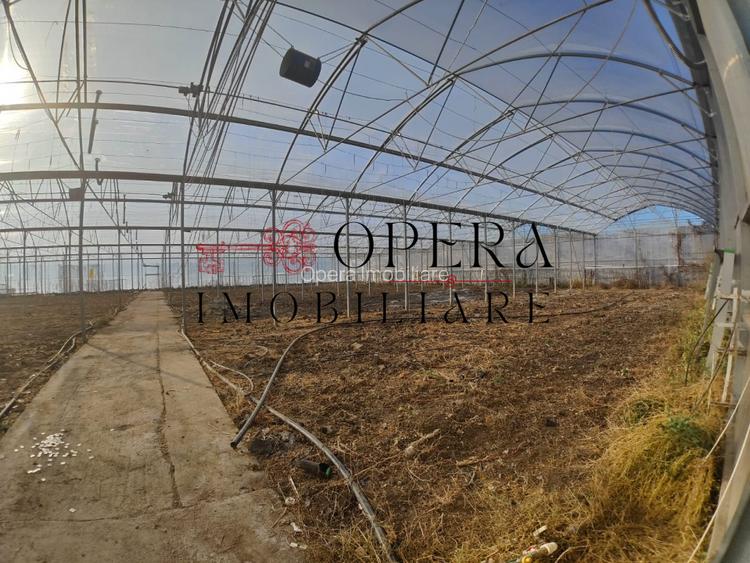 Teren intravilan 5000mp+Cladire265mp + Sera(2500mp), Rediu Aldei-Aroneanu - 5