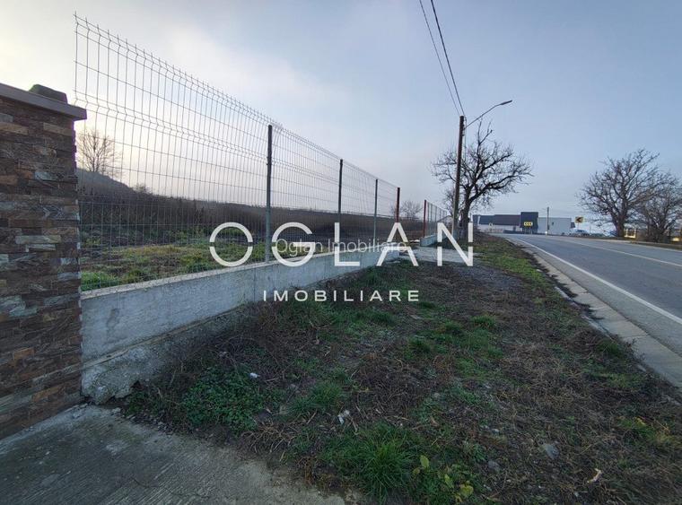 Teren Imprejmuit, la sosea (DN14)- SURA MARE - 3