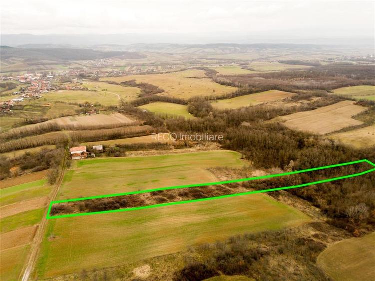 RECO Teren intravilan in Ceica Bihor - 8