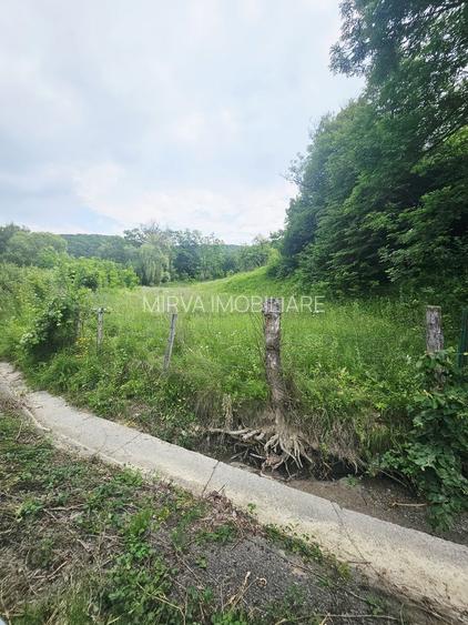 Teren intravilan lângă pădure – 1659 mp,  C.U. P+2E, Vărbilău - 2