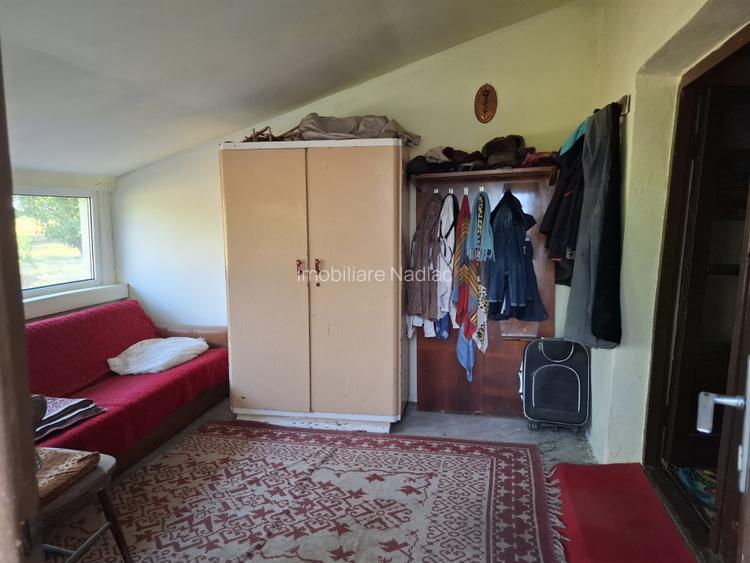 Ferma cu teren agricol de vanzare in Nadlac - 13