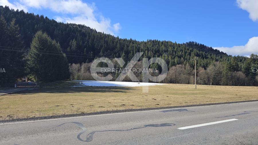 Teren extravilan 19.200 mp – DN1A Săcele, Brădet | Front stradal 130 ml - 3