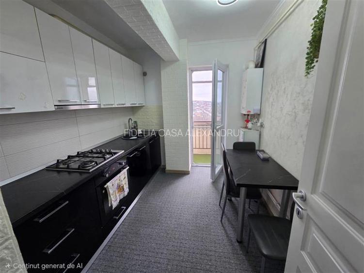 Apartament 2 camere  de vanzare  Valea Lupului - 26