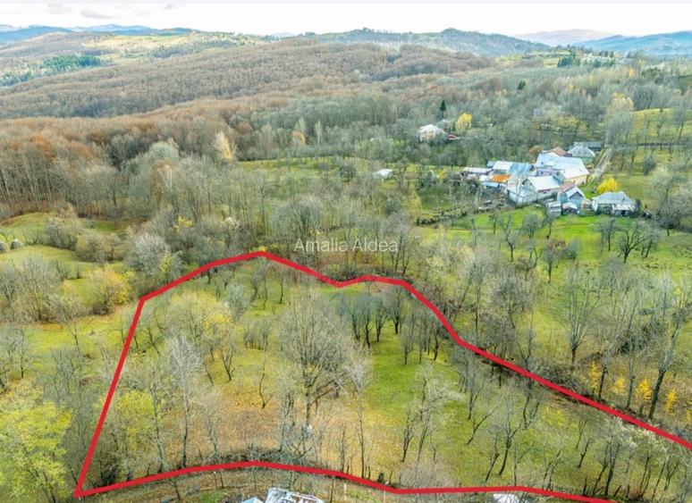 Teren intravilan 4.384 mp | 65 ml deschidere | Talea, Prahova | 47.000 € - 4