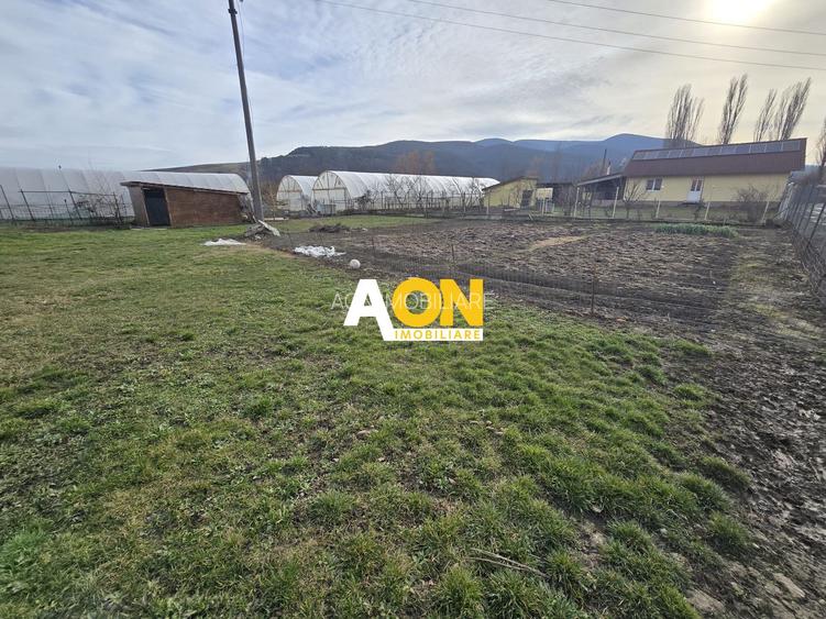 Casa Individuala 4 Camere, 1750mp Teren, Zona Sard - 11