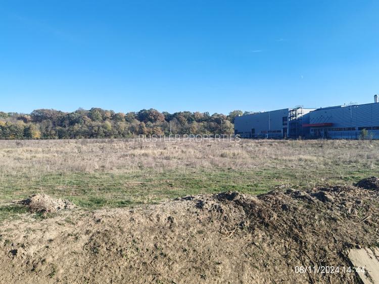Vanzare Teren 8,9 ha Otopeni - Zona Philip Morris - 3